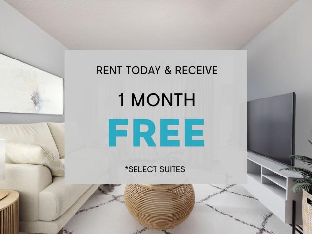 Jameson Avenue One Bedroom Suites Apartment for Rent