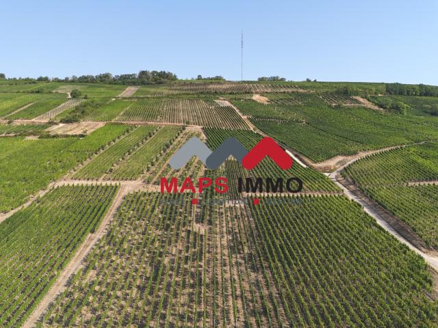 MARLENHEIM ! SUR LES HAUTEURS ! Maison 130m2 sur 7.04 ares !