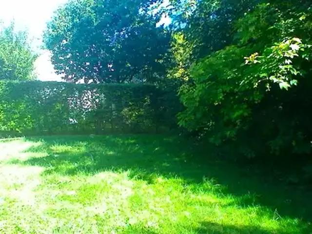 Marles en Brie 77610 Programme neuf maison neuf à vendre 4 pièces