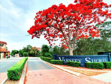 Last One Ensuite $380.00 per week Live Next to Bond University CALL 0482786372 TODAY!