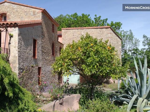 Mas catalan au coeur des vignes