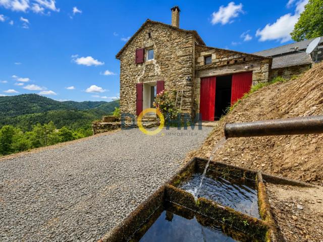 Mas Cévenol avec vue Mont Lozère