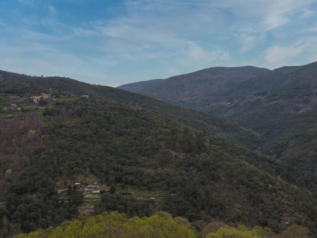 Mas authentique cœur des Cévennes Lozériennes 160m² Saint Etienne Vallée Française