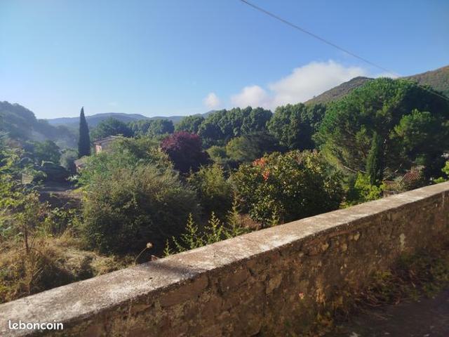 Mas de caractère avec terrains