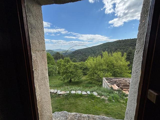 Mas de charme avec gîte et piscine