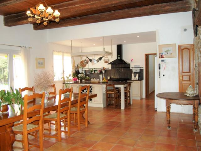 Mas du 19ieme avec 3 gites et partie privative 180m2 sur 384