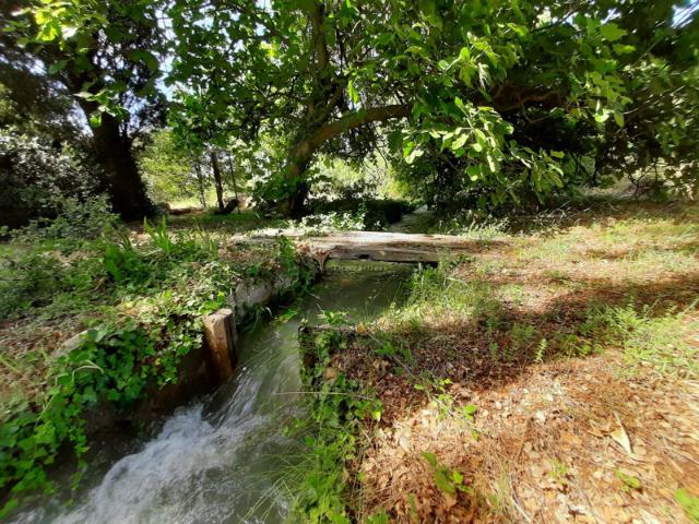 Mas restauré dans la campagne provençale