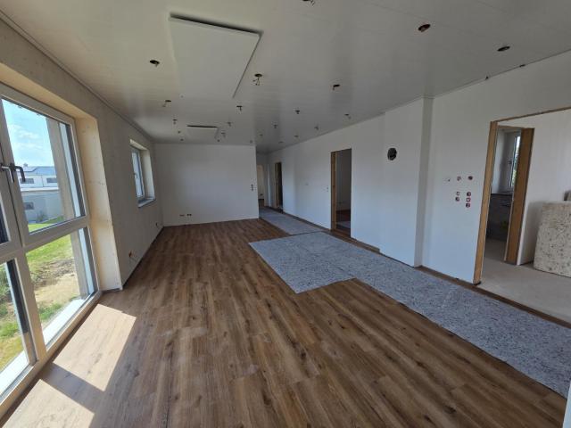 Maselheim: *Neubau* Ökologische 4 Zimmer mit Dachterrasse in Maselheim