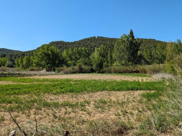 Maset en el río