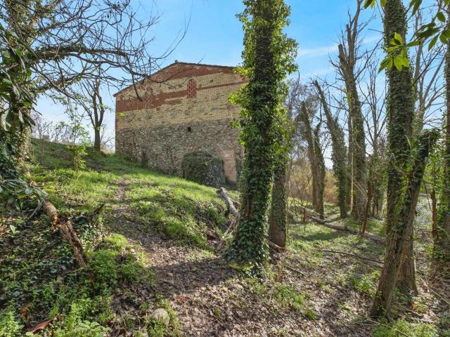 Masia