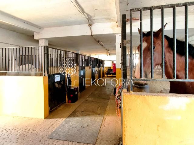 Masía Con Centro Ecuestre Junto A Valencia – 38 Boxes Y 10.0. 977m² Ribarroya