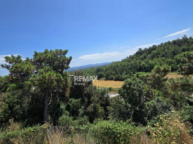Brunyola | Finca rústica con naves avícolas alquiladas e ingresos mensuales