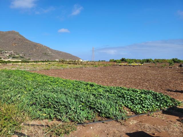 Masía en venta en Tegueste. Finca de aguacates con casa y amplia zona de ocio con piscina. Masías.