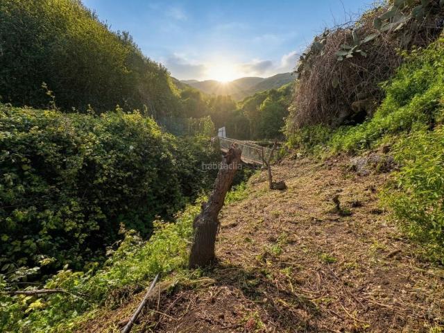 Masía en venta en Teror, El Álamo Arbejales. Se vende finca rústica. Masías.