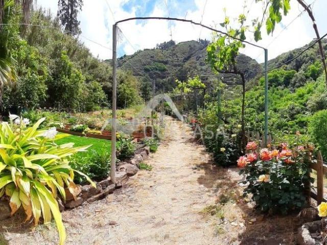 Masía en venta en Teror, El Álamo Arbejales. VT6151. CASA DE CAMPO CON TERRENO EN TEROR. Masías.