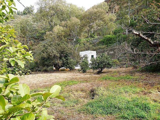 Masía en venta en Teror, San José del Álamo El Hornillo. Encantadora Casa Rústica en Teror, Zona del Hornillo, con Amplio Terreno y Vistas Privilegiadas. Masías.