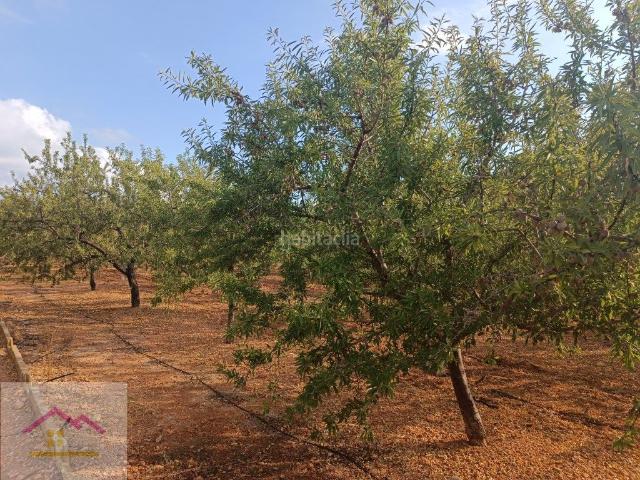 Masía en venta en Torreblanca. FINCA RUSTICA. Masías.