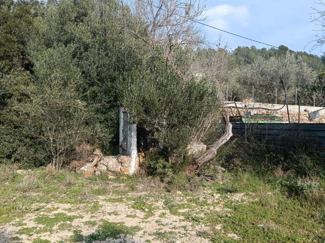 Masía en venta en Vall d´Alba. Casa Rural en venta, C MASIA RAMBIELLES Nº12, Vall d'Alba. Masías Vall.