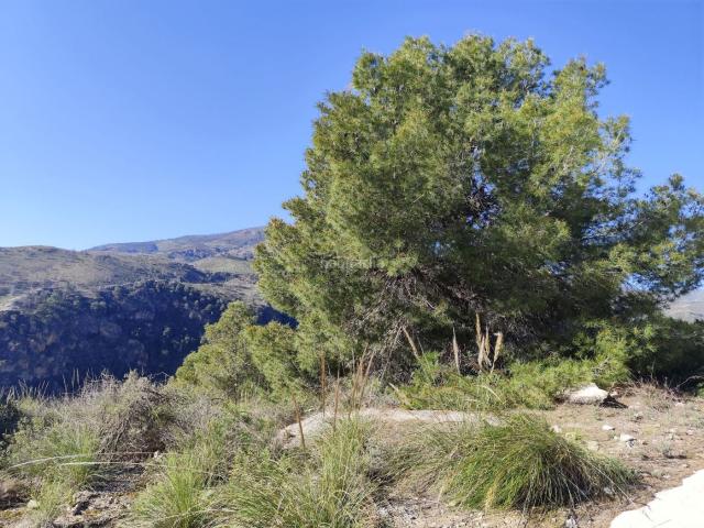 Masía en venta en Valle El. Casa Rural en venta en Pinos del Valle, 1 dormitorio. Masías Valle.