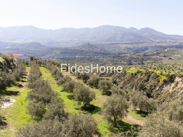 Masía en venta en Valle El. Cortijo en venta en WCR3+9FX Saleres, 18658, El Valle, Granada. Masías Valle.