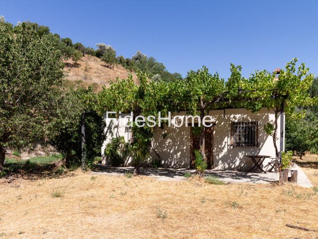 Masía en venta en Valle El. Encantador cortijo rústico con amplia finca, salares y árboles frutales. Masías Valle.