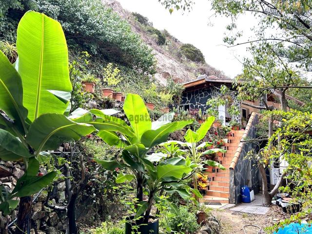 Masía en venta en Vallehermoso. BIO FINCA LA GOMERA. Masías.