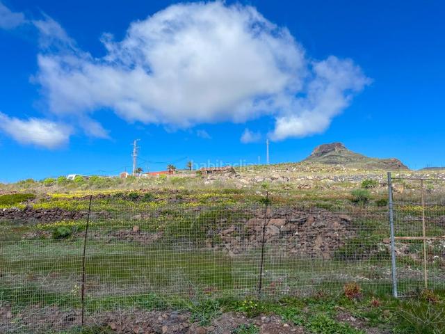 Masía en venta en Vallehermoso. Gran finca vinícola con vistas al mar, casa antigua y manantial propio. Masías.