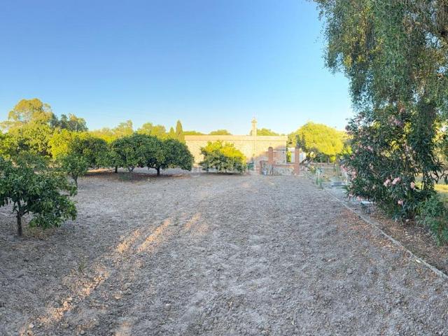 Masía en venta en Vejer de la Frontera, Vejer. Espectacular vivienda rural en Najara, Vejer de la Frontera, Cádiz. Masías Vejer de la.