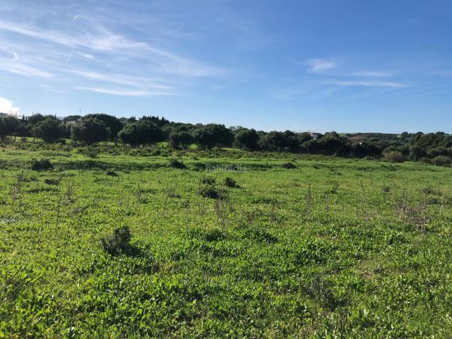 Masía en venta en Vejer de la Frontera, Vejer. Finca con construcciones inscritas en el registro de la propiedad. Masías Vejer de la.
