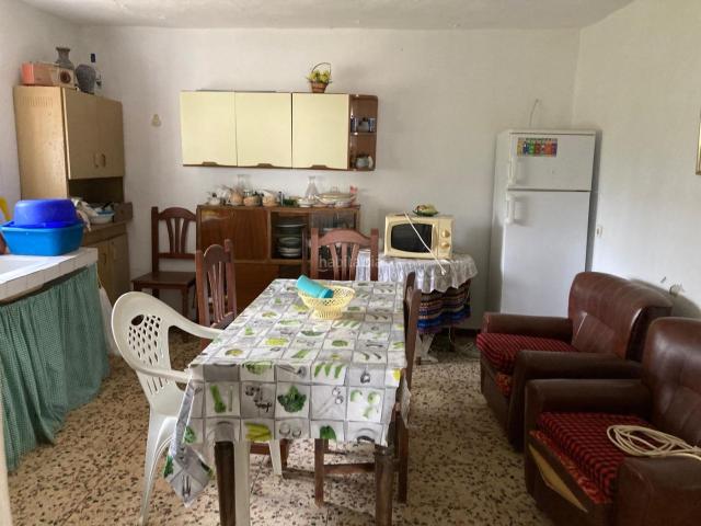 Masía en venta en Vejer de la Frontera, Vejer. FINCA RUSTICA EN LA MUELA CON CASA PARA REFORMAR. Masías Vejer de la.