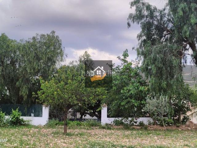 Masía en venta en Vélez Rubio. Casa Rural en venta en VélezRubio, 4 dormitorios. Masías Vélez.