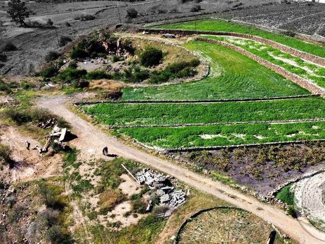 Masía en venta en Vilaflor. Finca rústica en Vilaflor Naturaleza, historia y gran potencial turístico. Masías.