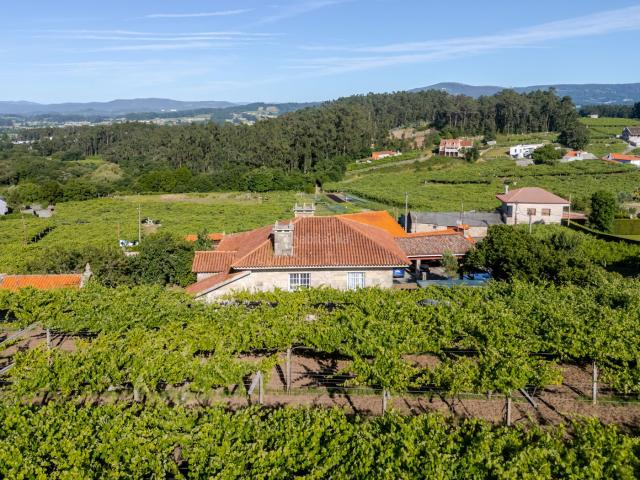 Masía en venta en Vilanova de Arousa. Casa de piedra lista para habitar con viñedo de albariño en Cambados. Masías Vilanova de.