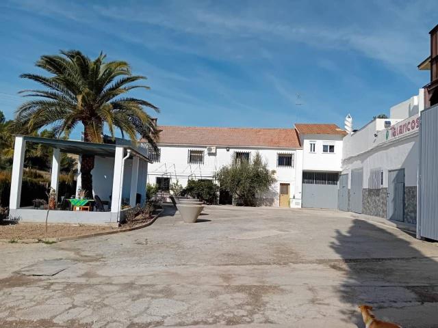 Masía en venta en Villanueva Mesía. Finca con casa y olivar. Masías Villanueva.