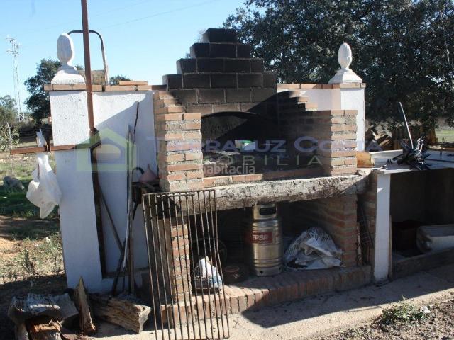 Masía en venta en Villablanca. MAGNÍFICA FINCA RUSTICA CON PISCINA Y BONITA CASA DE CAMPO EN TÉRMINO DE VILLABLANCA. Masías.