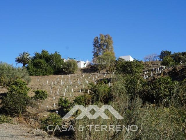Casa en venta en Viñuela. A la venta, Finca en Viñuela, Málaga, Andalucía. Casas.