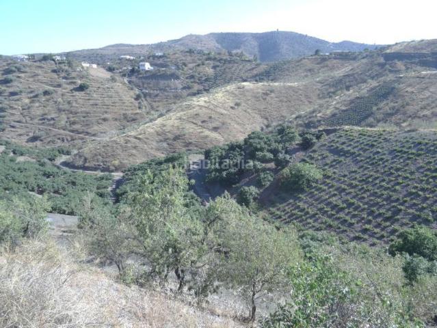 Masía en venta en Viñuela. Casa rústica en la Viñuela. Aguacates y Mangos. Masías.