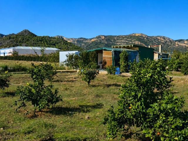 Masía en venta en Xeraco. Casa de campo a la venta en Xeraco. Masías.