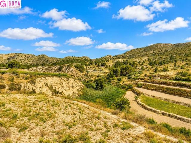 Masía en venta en Xixona. FINCA RUSTICA EN MONTNEGRE. Masías.