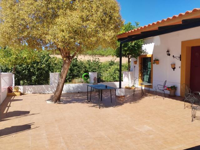Masía en venta en Zafra. Casa rústica. Terreno 19000 mt. Luz, agua, alberca, garaje. Masías.