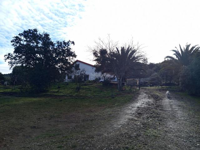 Masía en venta en Almadén de la Plata. Finca de 5 hectáreas con casa rústica en parque natural. Masías Almadén de la.