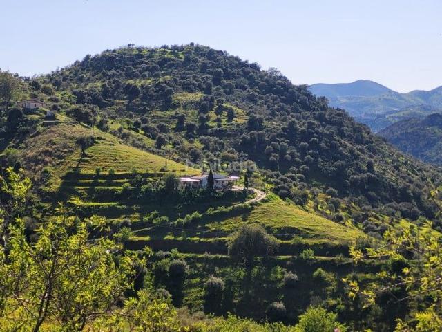 Masía en venta en Almogía. Casa Rural en Venta en BARRANCO DEL SOL ALMOGÍA, Málaga. Masías.