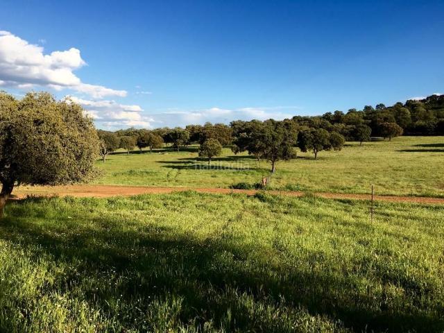 Masía en venta en Almodóvar del Campo. Masías Almodóvar del.