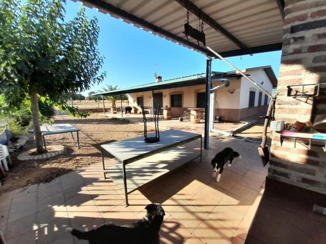 Masía en venta en Almodóvar del Campo. FINCA RUSTICA 7 HECTAREAS TERMINO MUNICIPAL ALMODOVAR. Masías Almodóvar del.