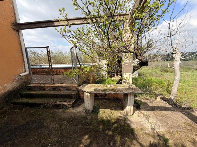 Masía en venta en Albaida. Masías.