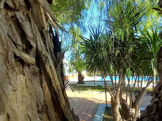 Masía en venta en Alcalá de Guadaira, Oromana. Casa rustica en matachica con escrituras. Masías Alcalá de.