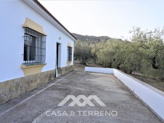 Casa en venta en Alcaucín. A la venta, Finca en Alcaucín, Málaga, Andalucía. Casas.