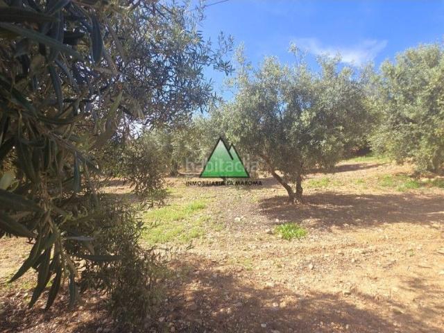 Masía en venta en Alcaucín. ESPECTACULAR CORTIJO EN ALCAUCÍN. Masías.