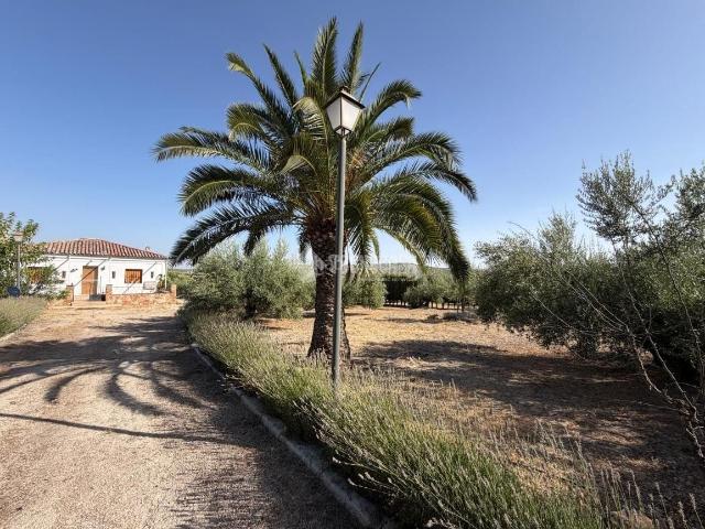 Masía en venta en Alcaudete. Casa rural en venta en Martos. Masías.