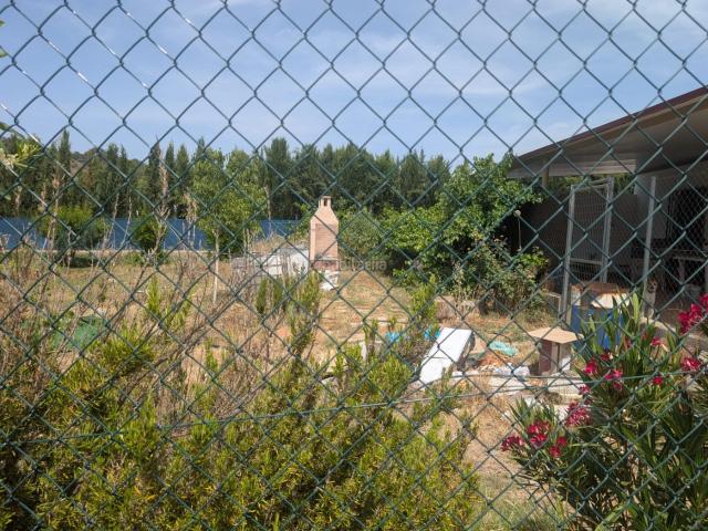Masía en venta en Alcaudete. EXCELENTE CASA DE CAMPO CON HUERTA EN PUENTE PALOMILLAS. Masías.